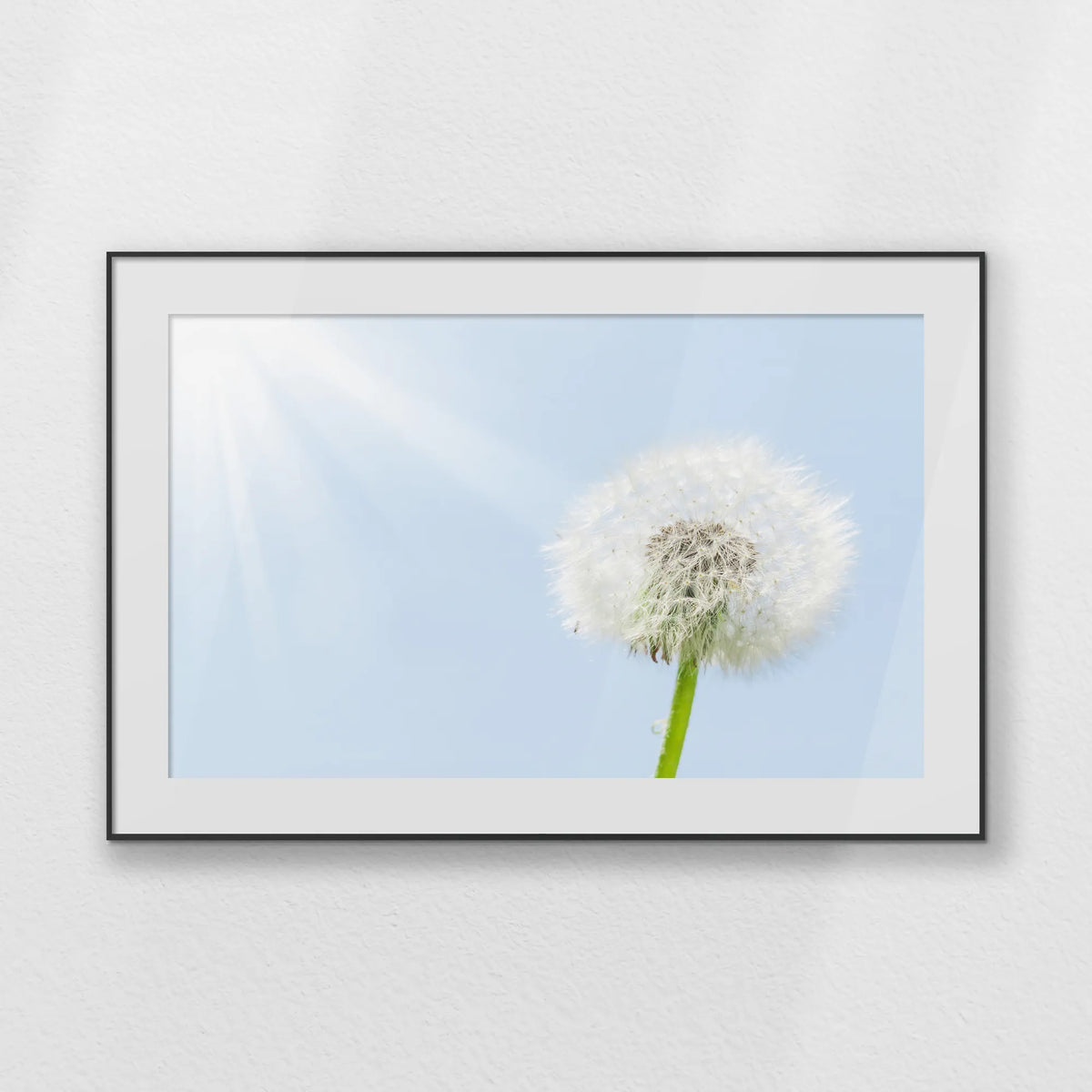 PBP120W080