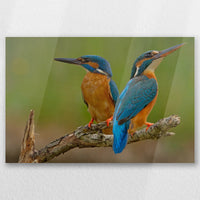 AC-045W030