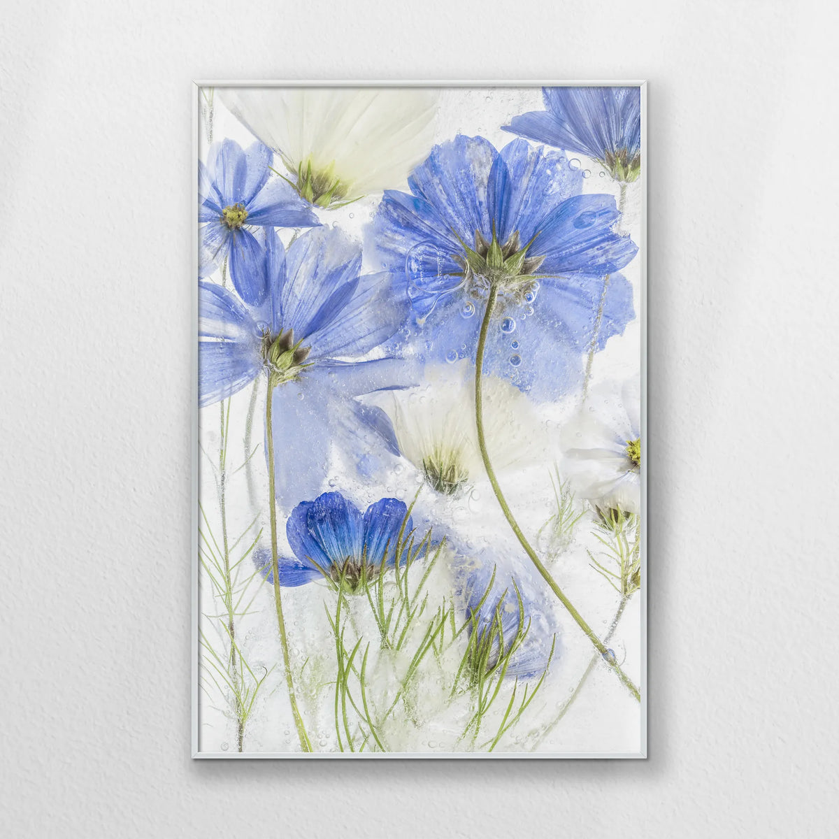 PS-062W093