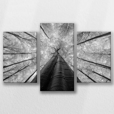 LW-060T040
