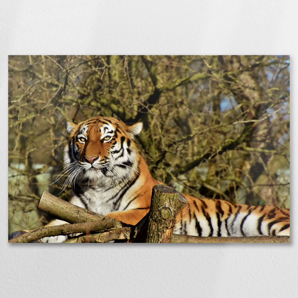 AL-075W050