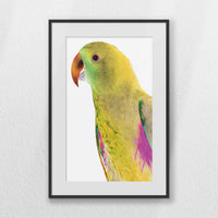 PBP040W060