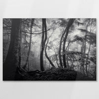 AL-075W050