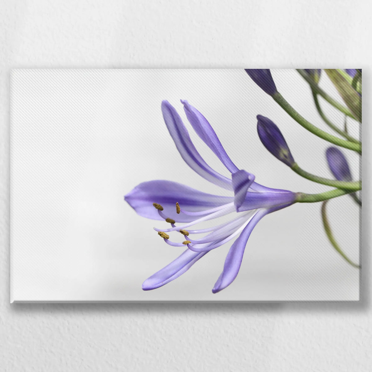 LW-060W040