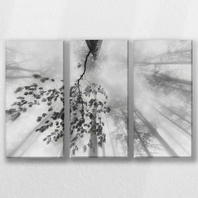 LW-060R040