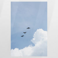 PO-080W120