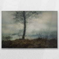 LW-075W050