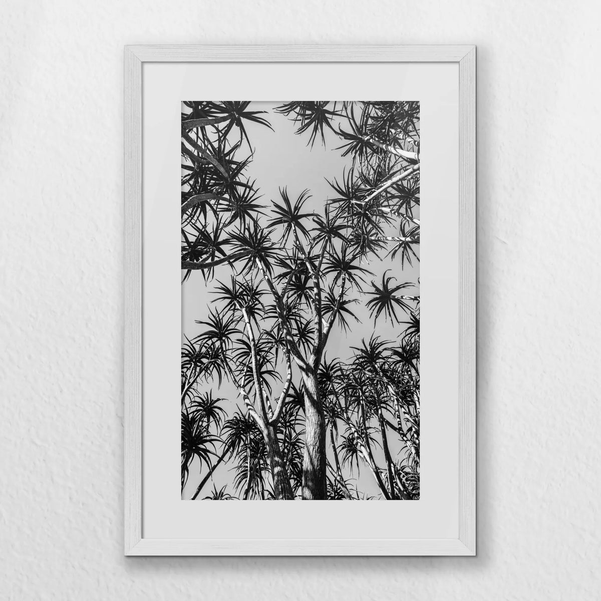 PWP040W060