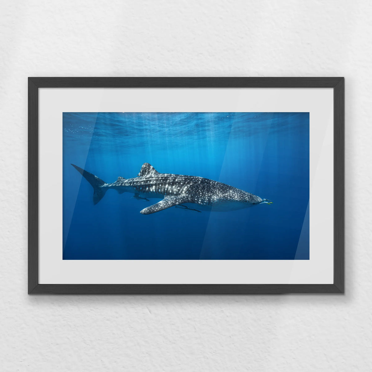 PKP060W040