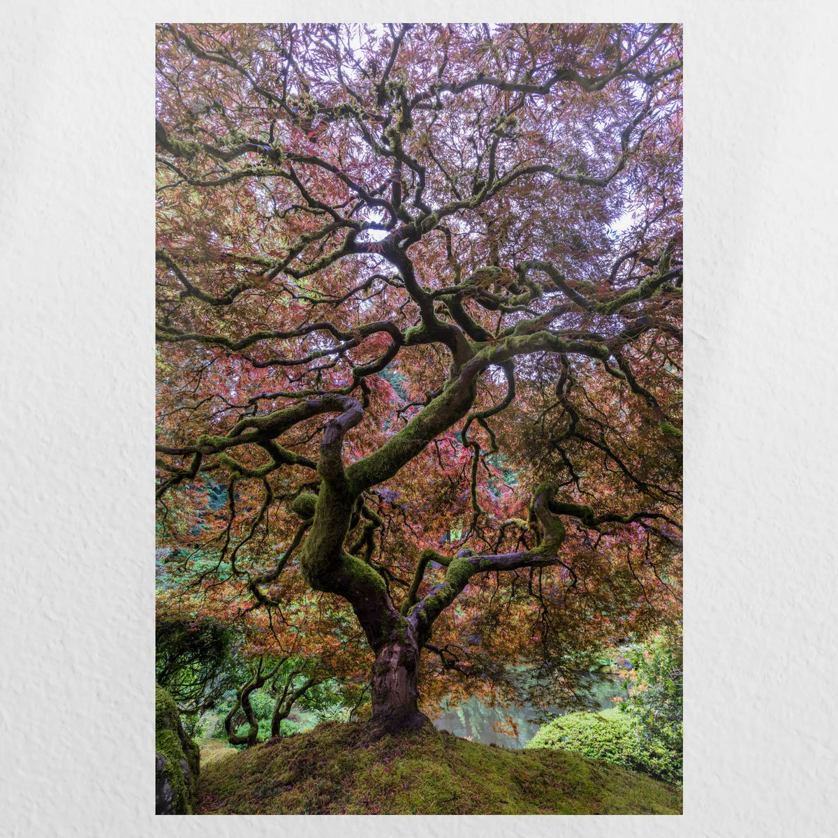 PO-020W030