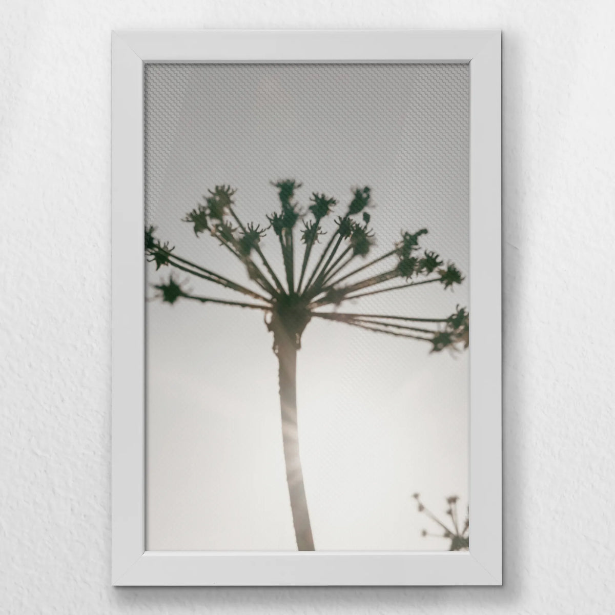 LWW020W030