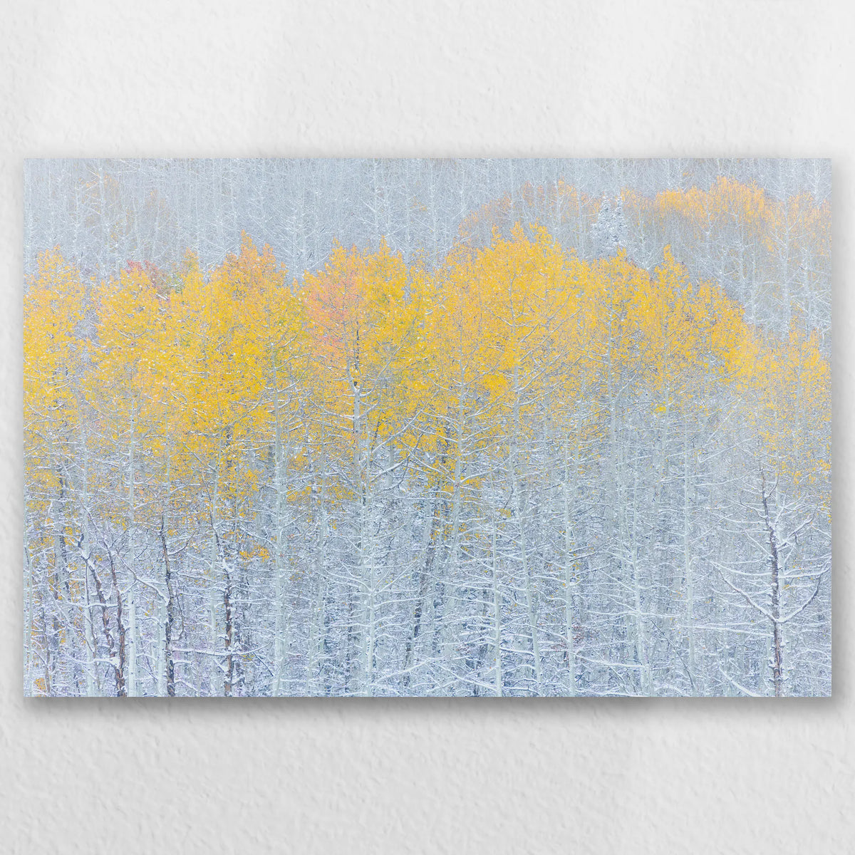 AL-030W020