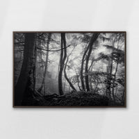 LWN120W080