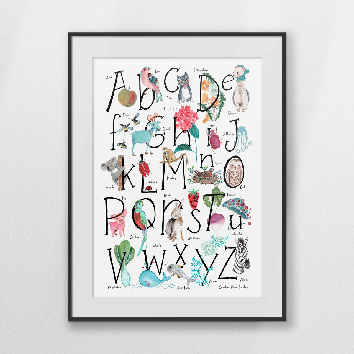 PBP050W070