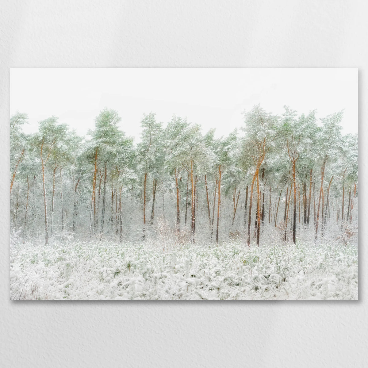AC-075W050