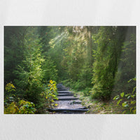 PO-030W020