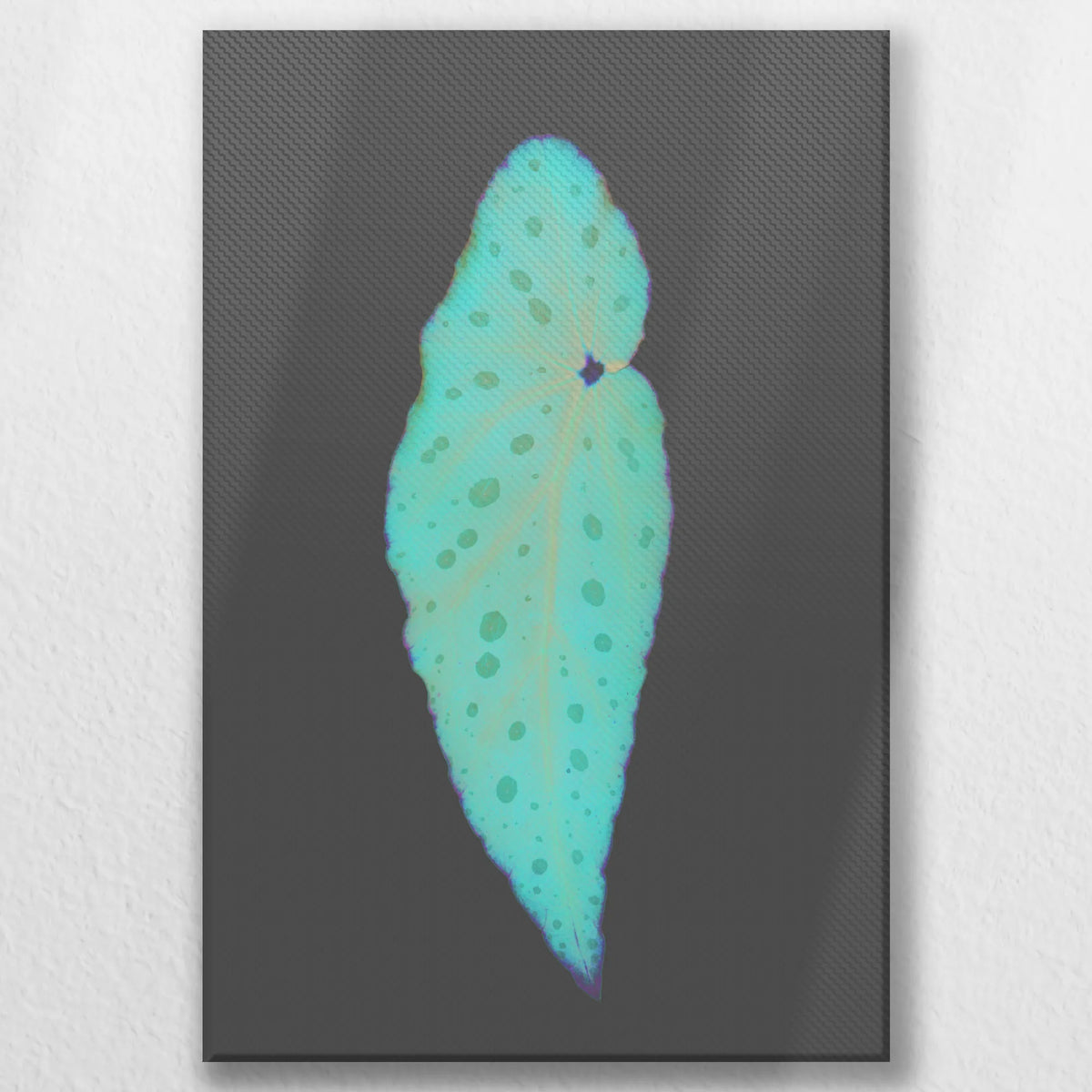 LW-030W045