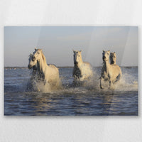 AC-030W020