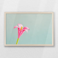 PN-060W040