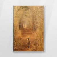 PS-080W120