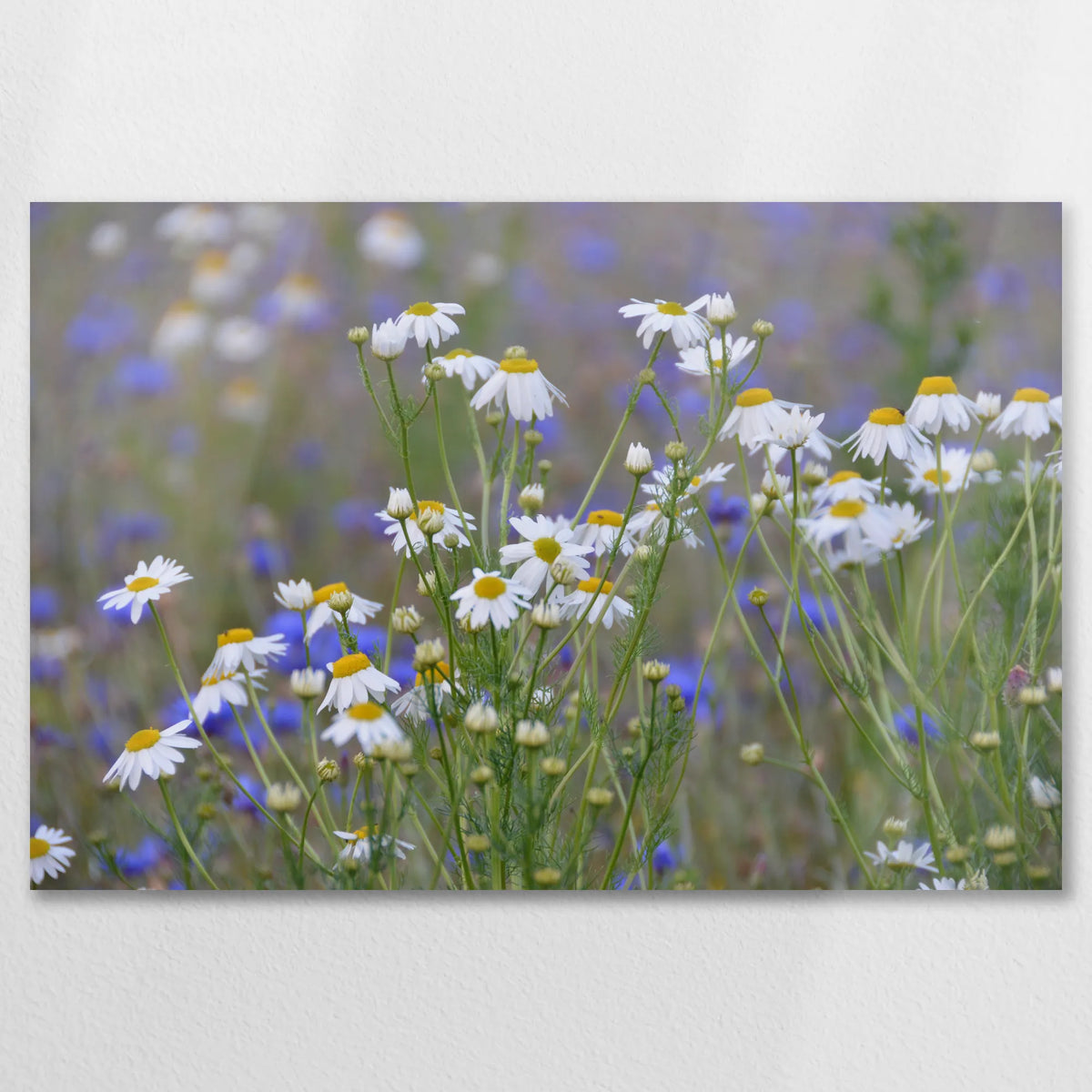 AL-075W050