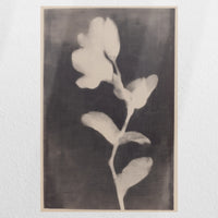 PO-030W045
