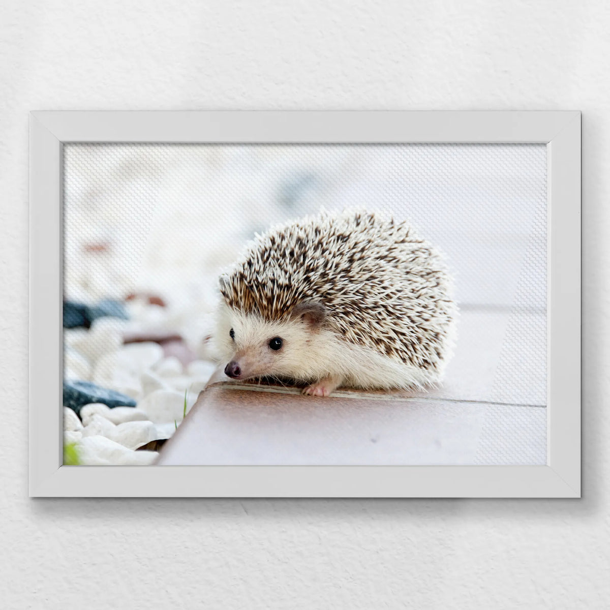 LWW030W020