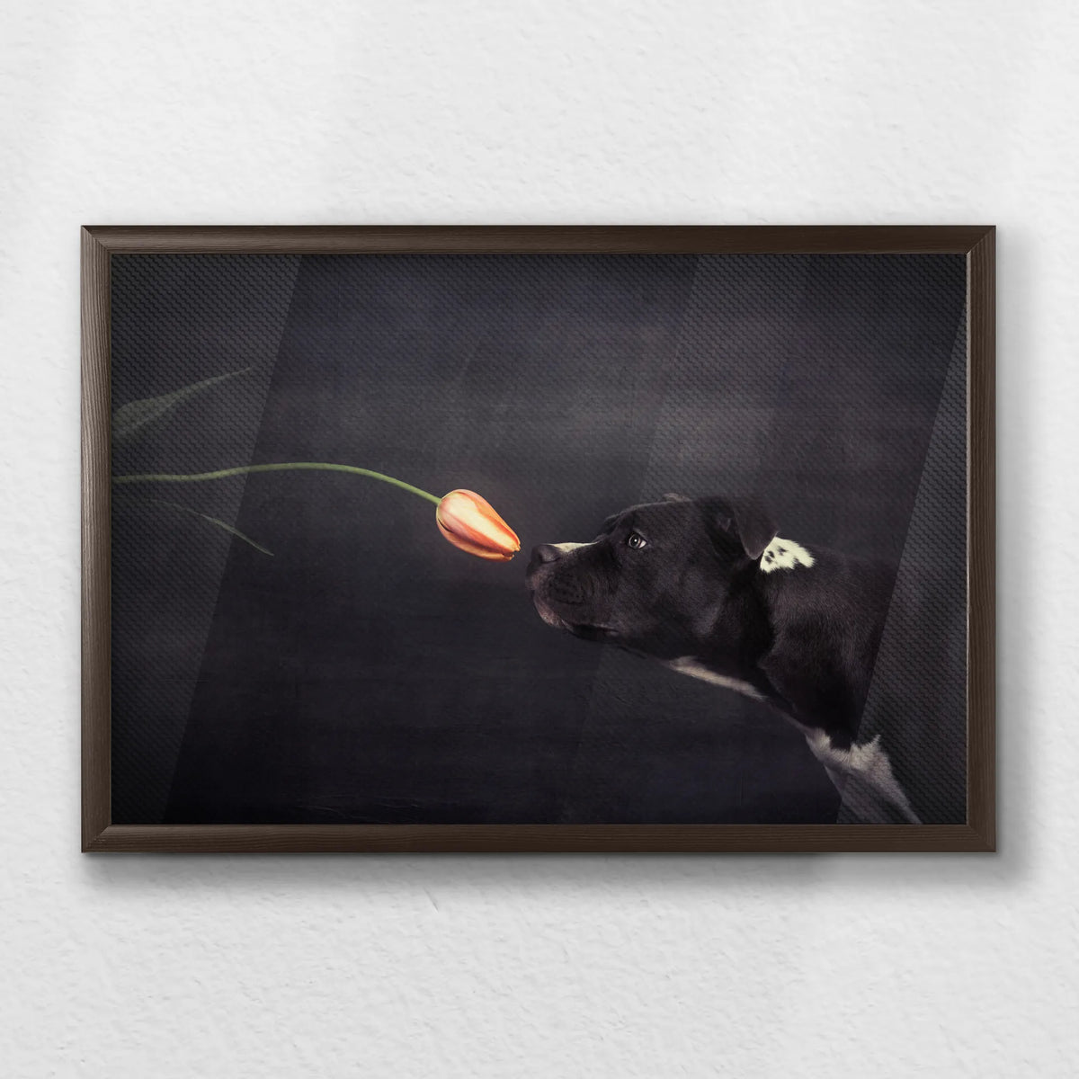 LWN060W040