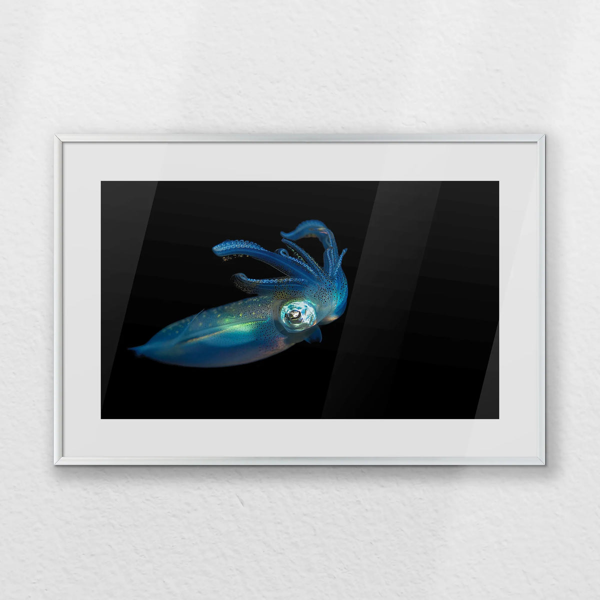 PSP060W040