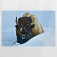 PO-090W060