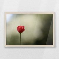PN-060W040