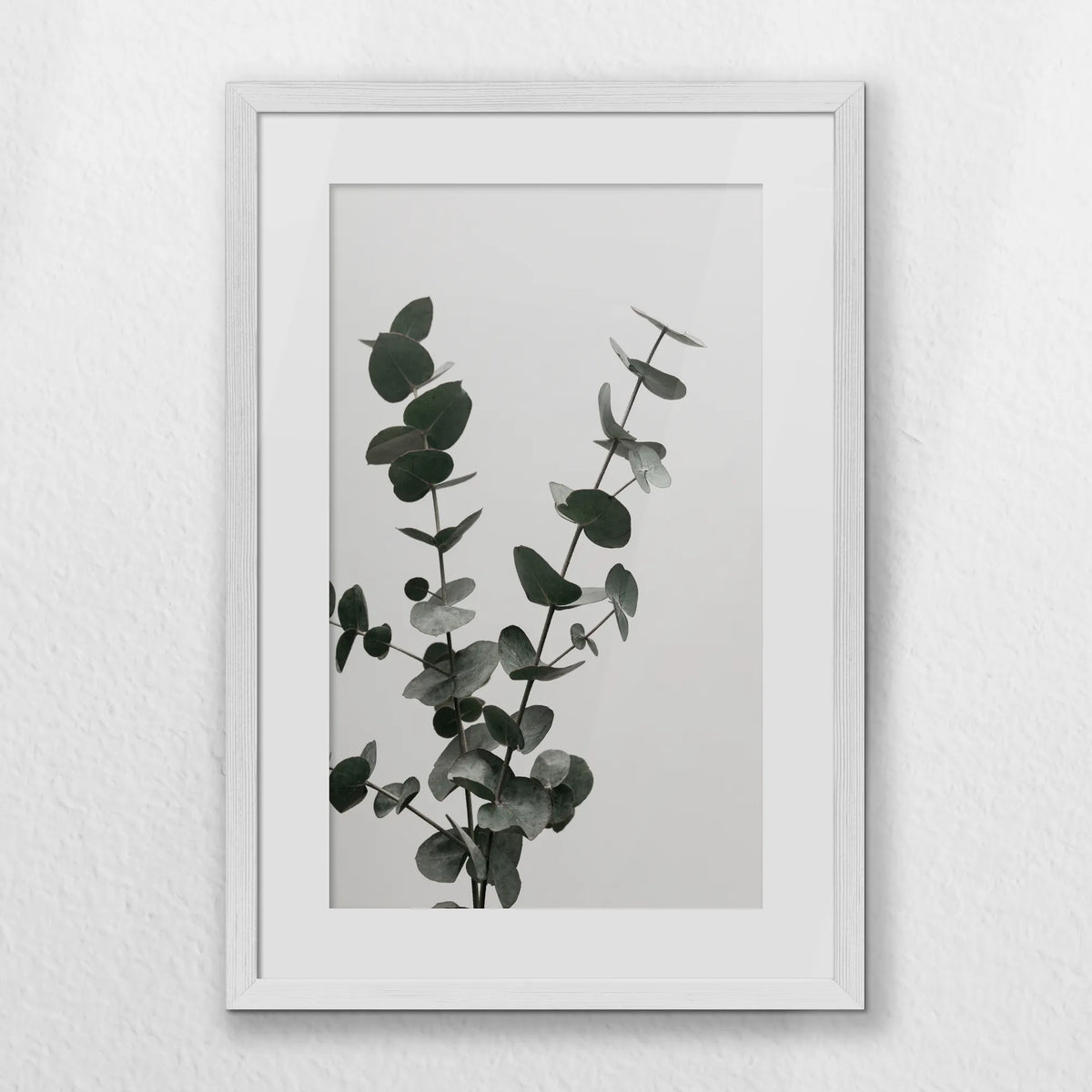 PWP040W060