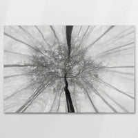 AC-075W050