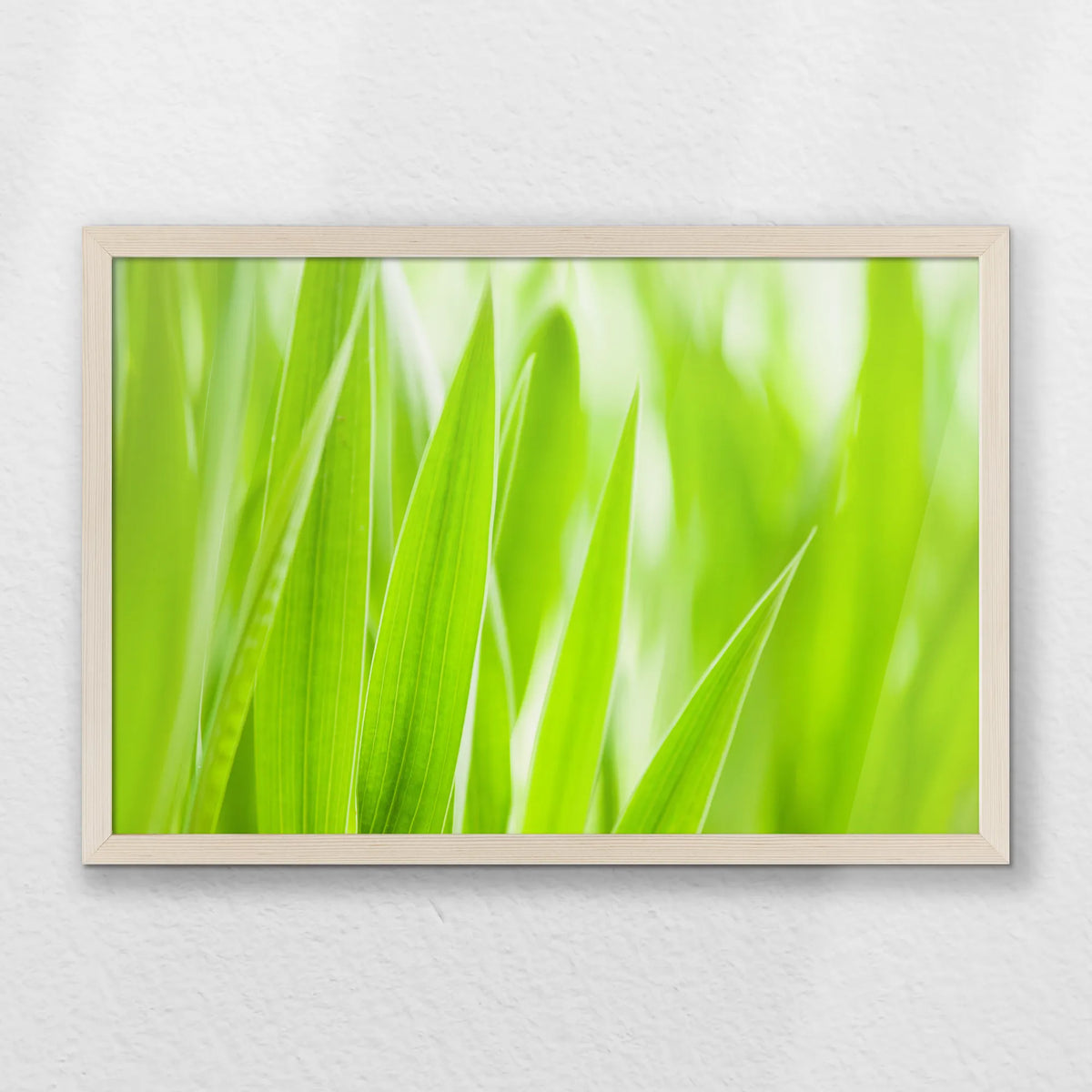PN-060W040