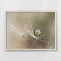 PN-070W050