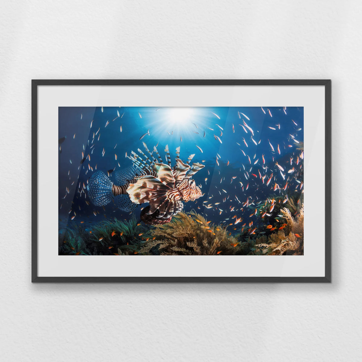 PKP093W062