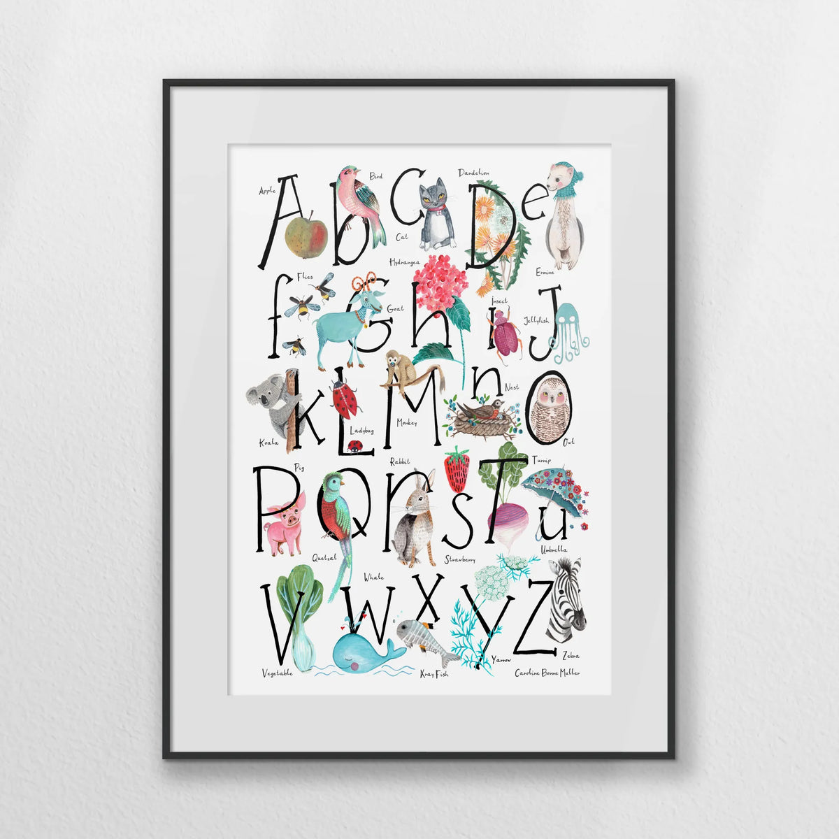 PBP060W080