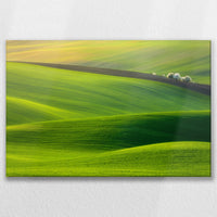 LW-075W050