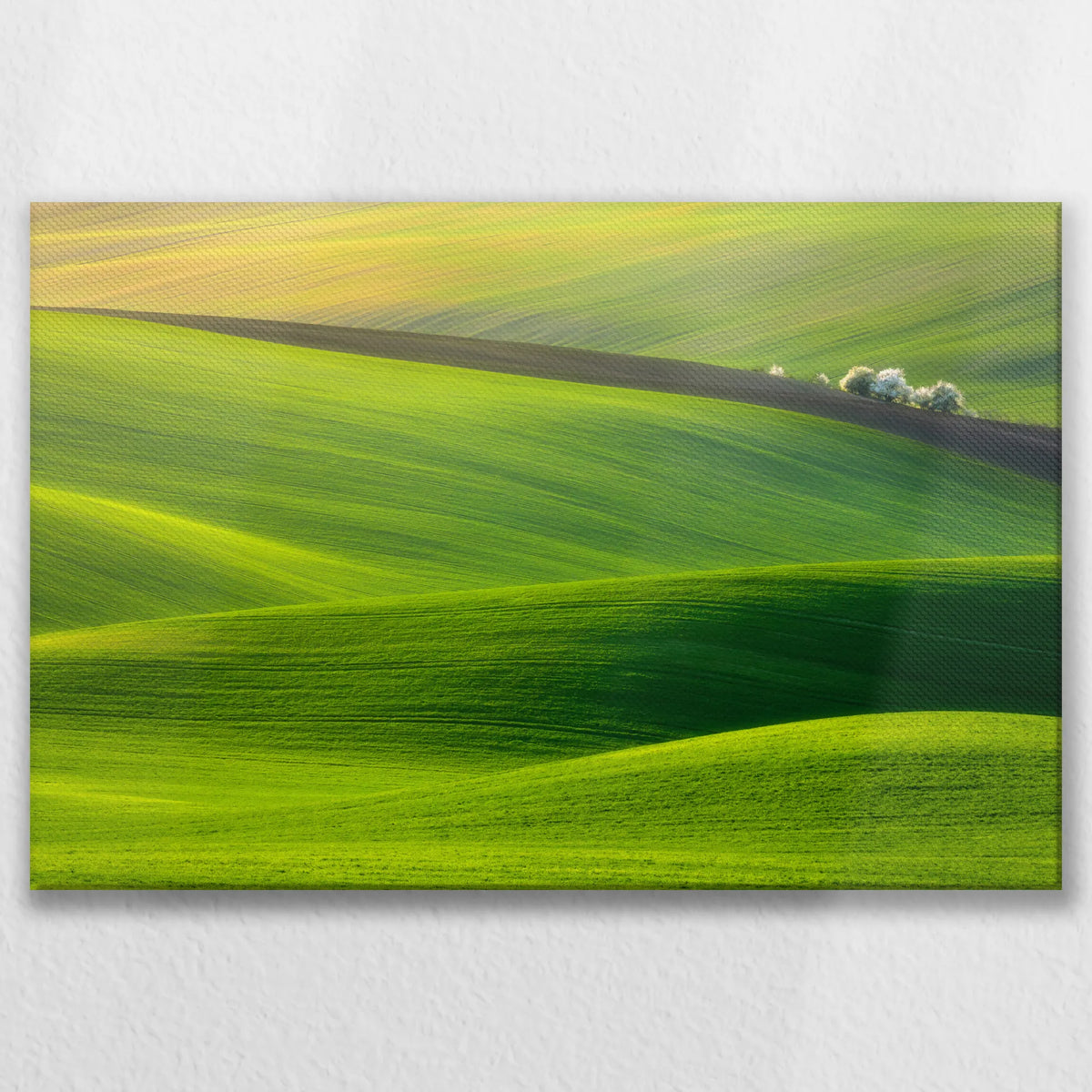 LW-075W050