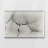 PW-093W062