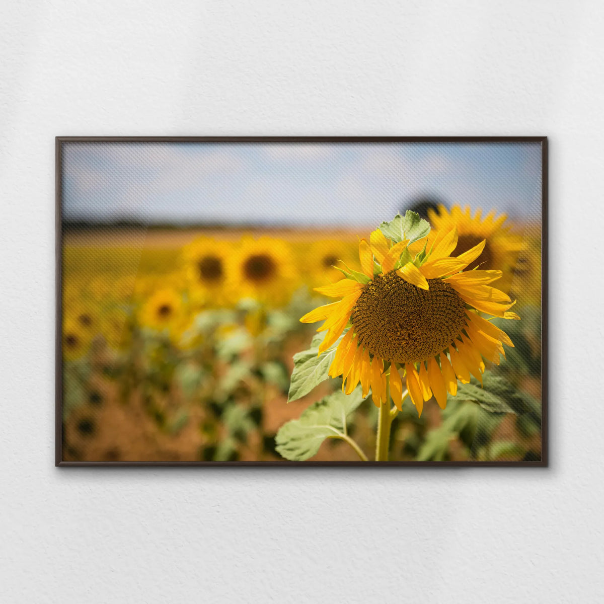 LWN120W080