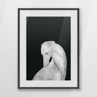 PKP060W080
