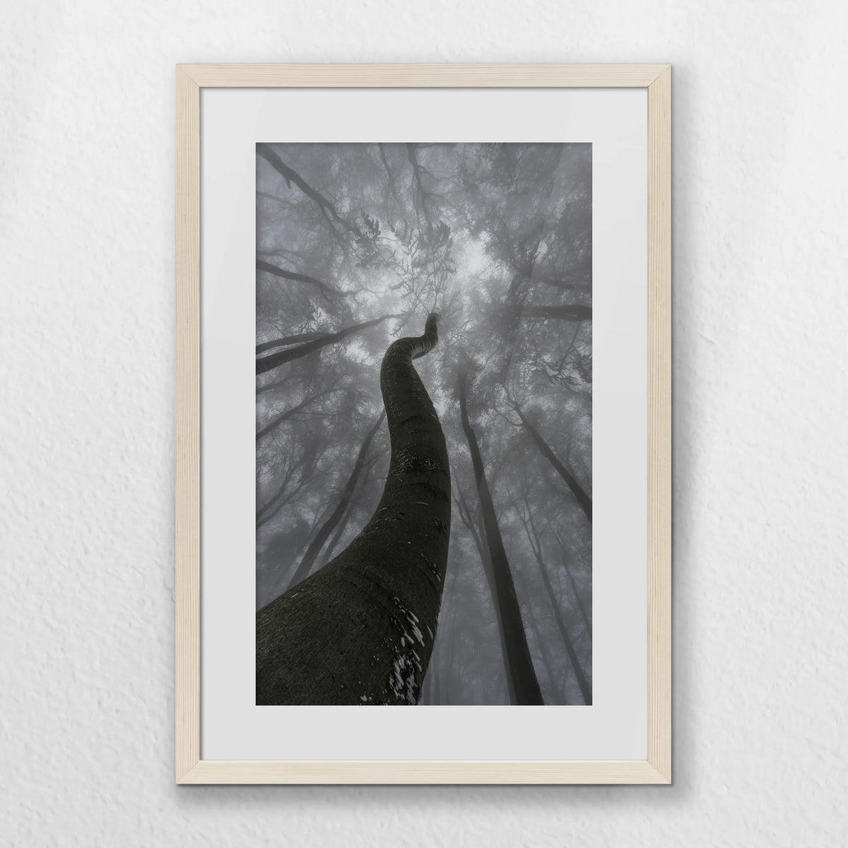 PNP040W060
