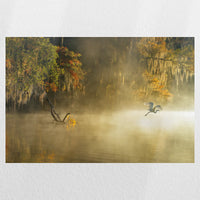 PO-045W030