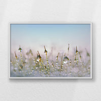 LWW100W070