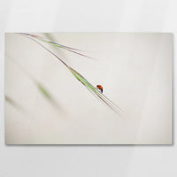 AC-090W060