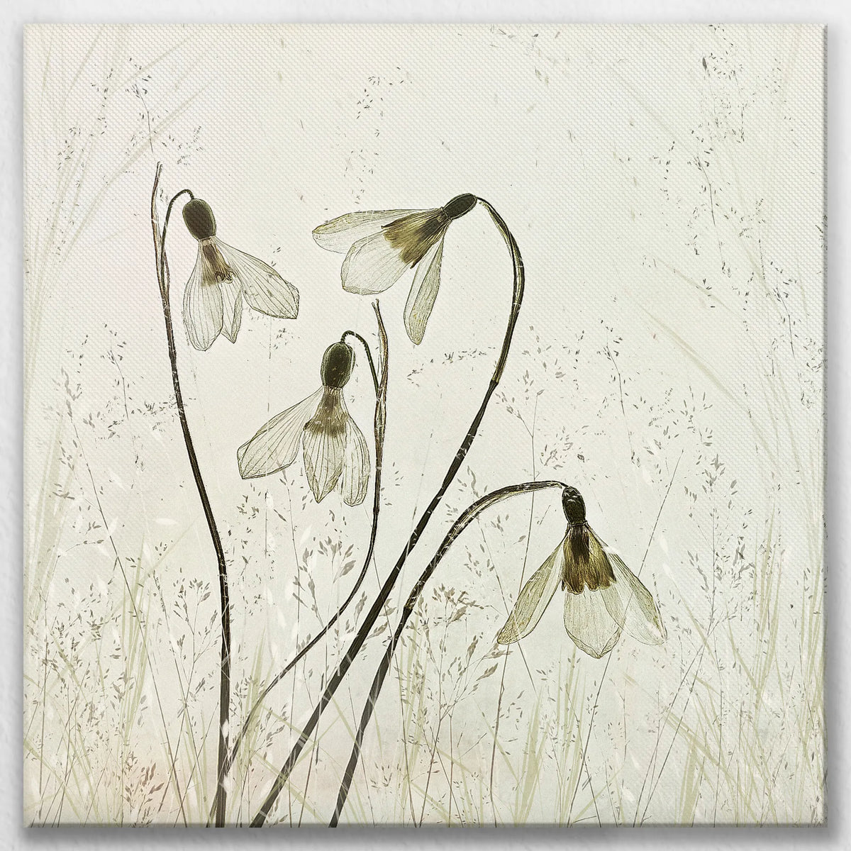 LW-080W080