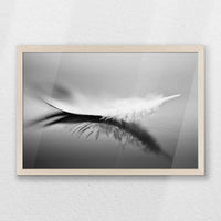 PN-060W040