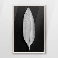 PN-062W093