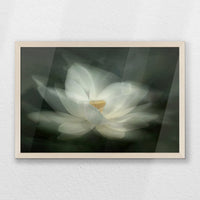PN-060W040